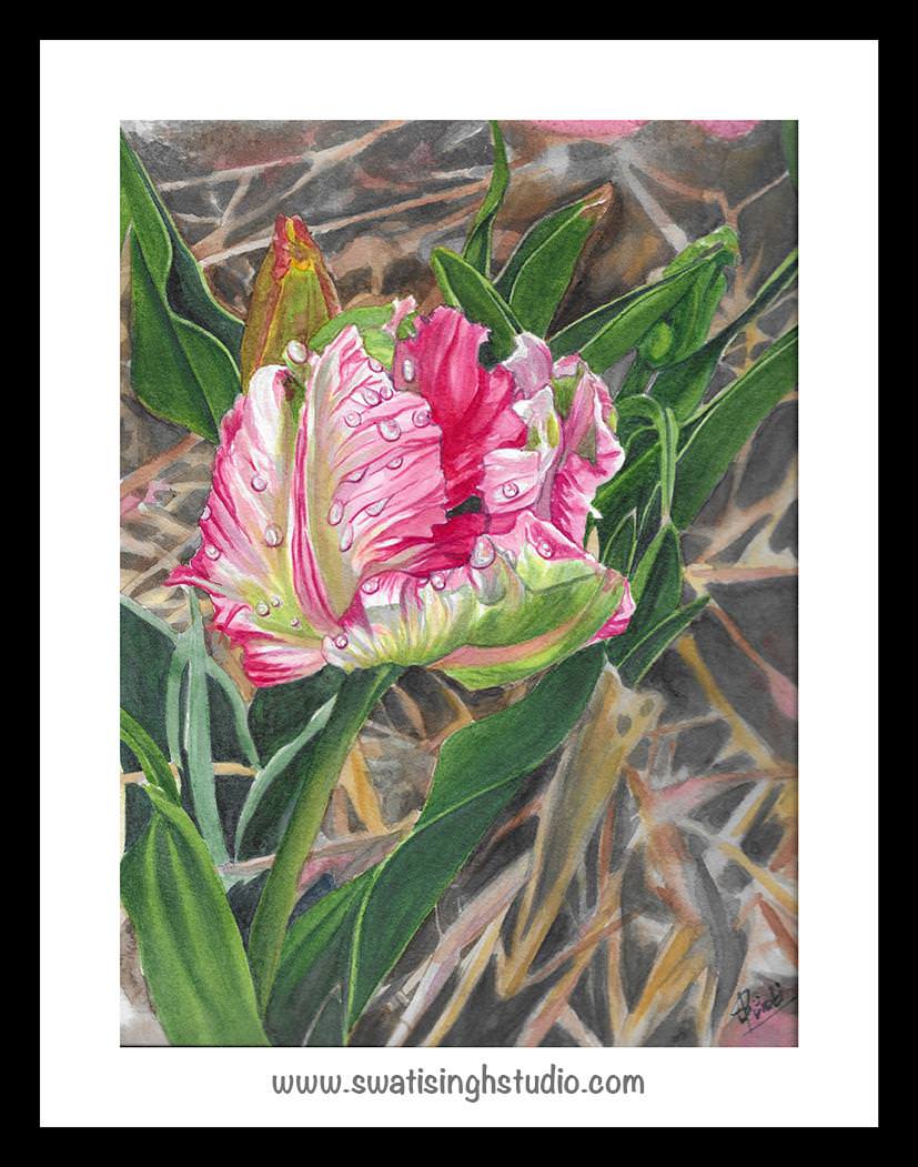 Picture 24